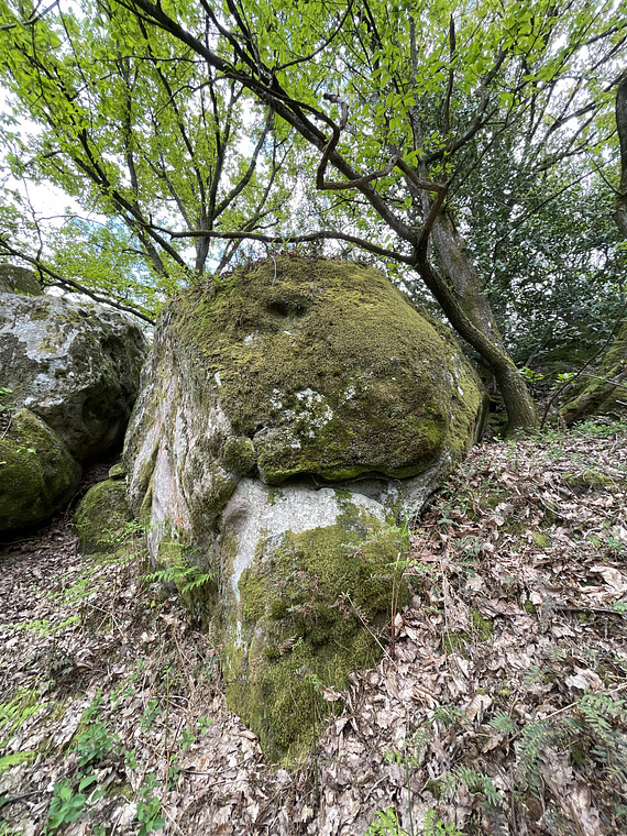 Mossy blocs2