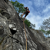 Marius Bjørkvall