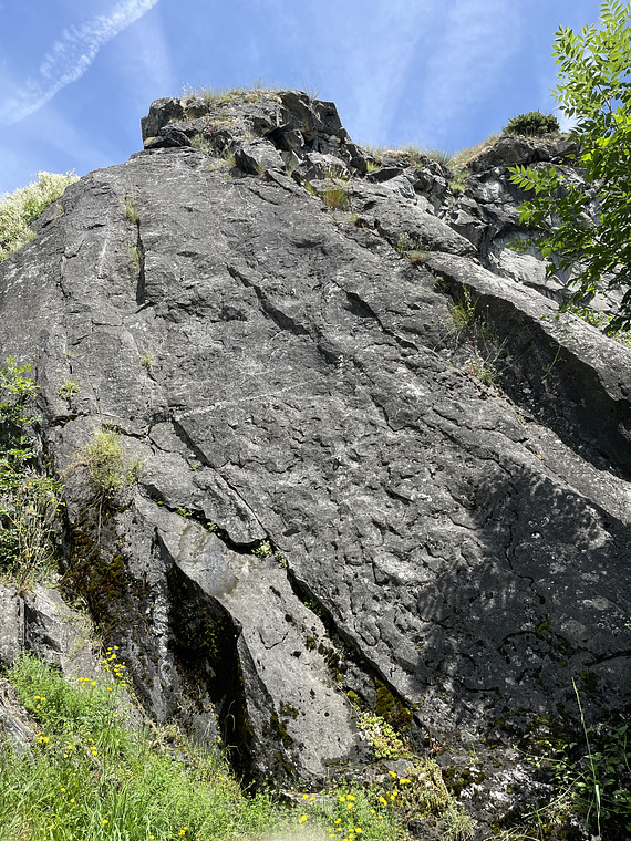 Secteur gauche