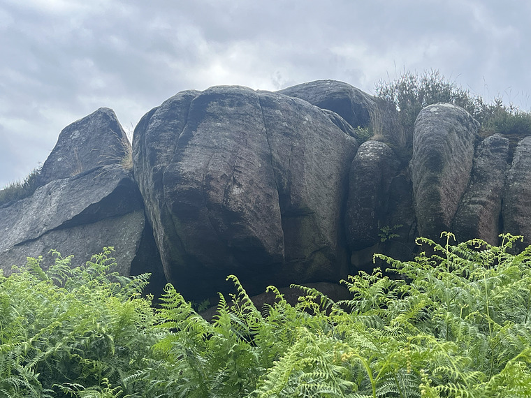 Toad’s Mouth Prow