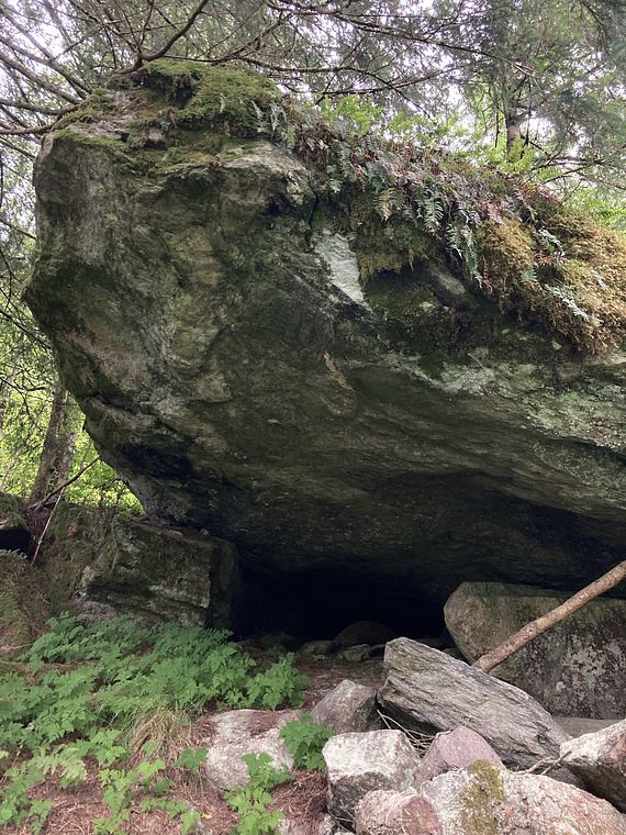 Hidden Roof