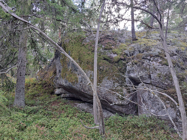 Trollskogen (https://www.sverigeforaren.se/trollskogen)