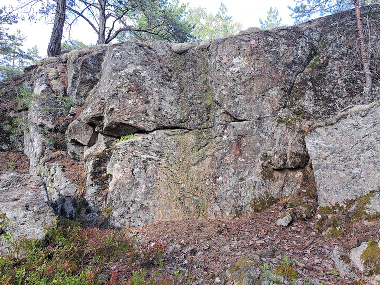 Trollskogen 3