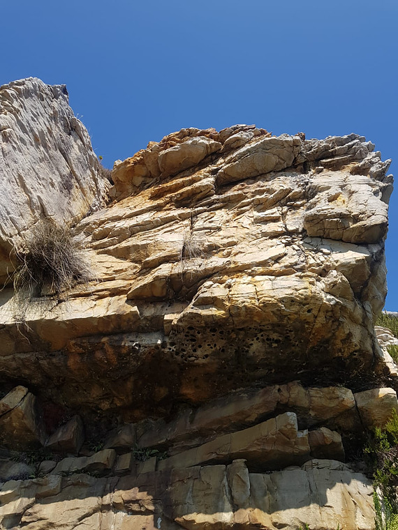 Lakeside Quarry Roof