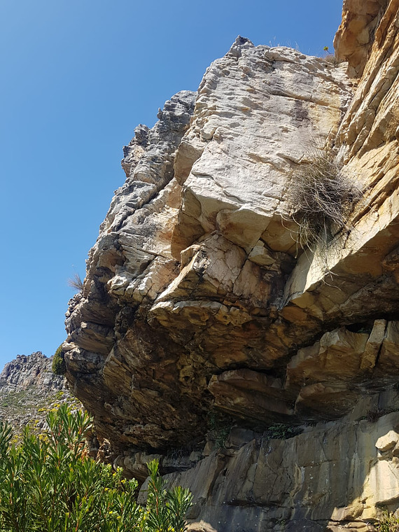 Lakeside Quarry Roof