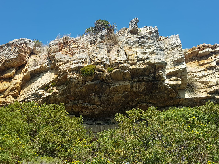 Lakeside Quarry Roof