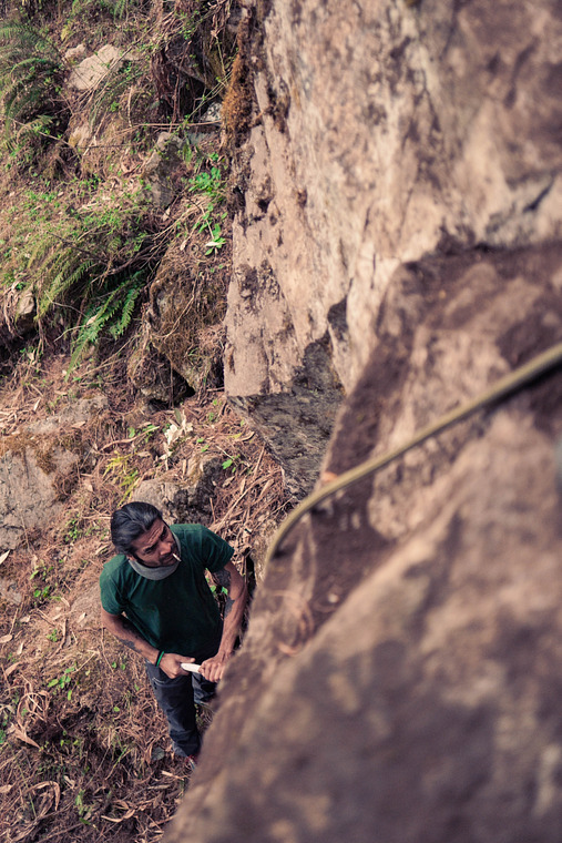 Marori Forest 