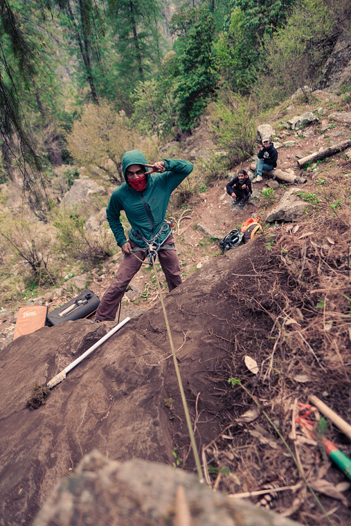 Marori Forest 