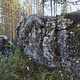 Metsäkoira thumbnail