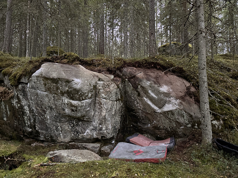 Savolainen selkäsauna