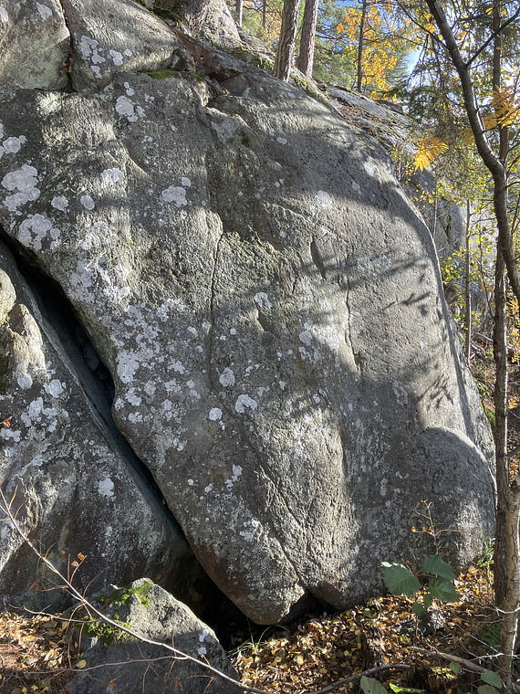 Sjösidan Trollskogen 