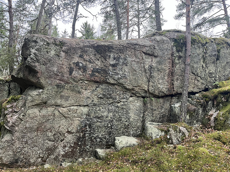 Branta väggen