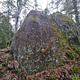 Tallkvist i nacken thumbnail