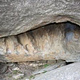 Hanging by a Thread thumbnail