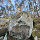 Robin des Bois thumbnail