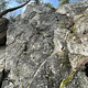 Bermudy thumbnail