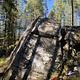 Skink thumbnail