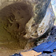 Fig Tree thumbnail