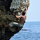 Anatolii Iasinskii