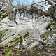 Rupicapra thumbnail