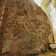 Todistustaakka thumbnail