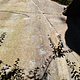 Murciélagos thumbnail