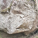 Hyllyvä pylly thumbnail