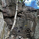 Tree hugger thumbnail