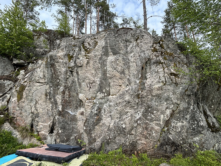 Vanha jäärä