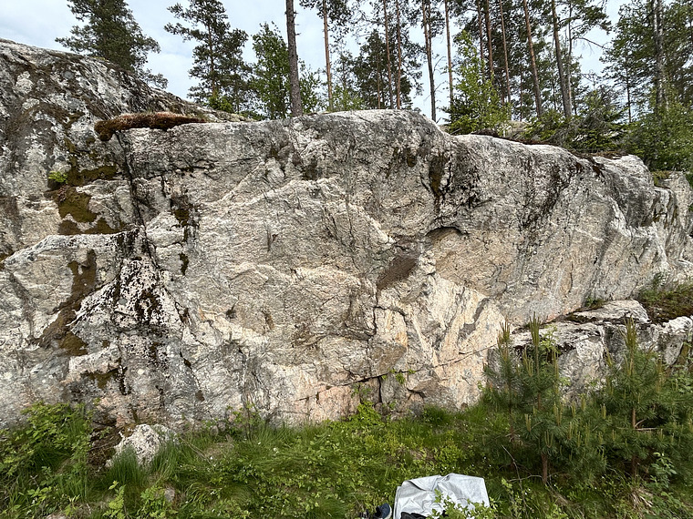 Vanha jäärä