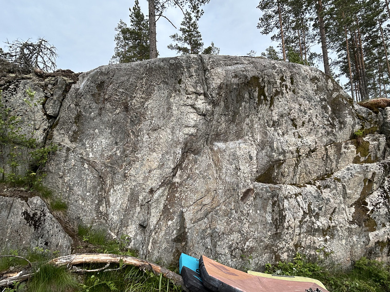 Vanha jäärä