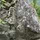 Postkortet thumbnail