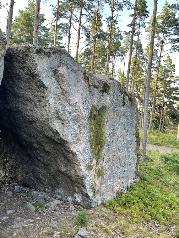 Veljekset